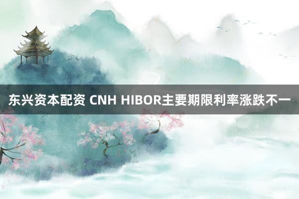 东兴资本配资 CNH HIBOR主要期限利率涨跌不一