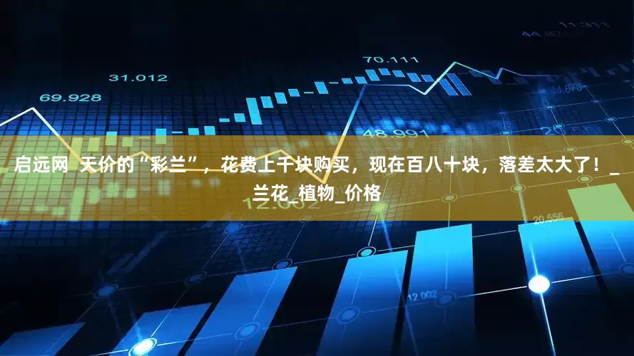 启远网  天价的“彩兰”，花费上千块购买，现在百八十块，落差太大了！_兰花_植物_价格