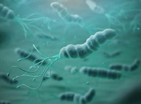 尊鼎配资 幽门螺杆菌检测前，这些用药和习惯要避开