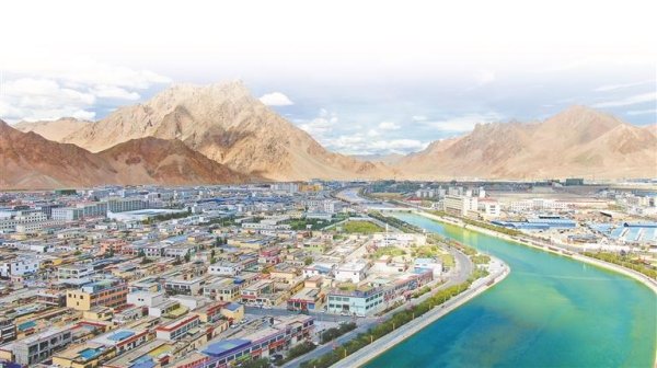 金智股配 戈壁薪柴成了“生态卫士”——从红柳身份转变看阿里生态与民生蝶变